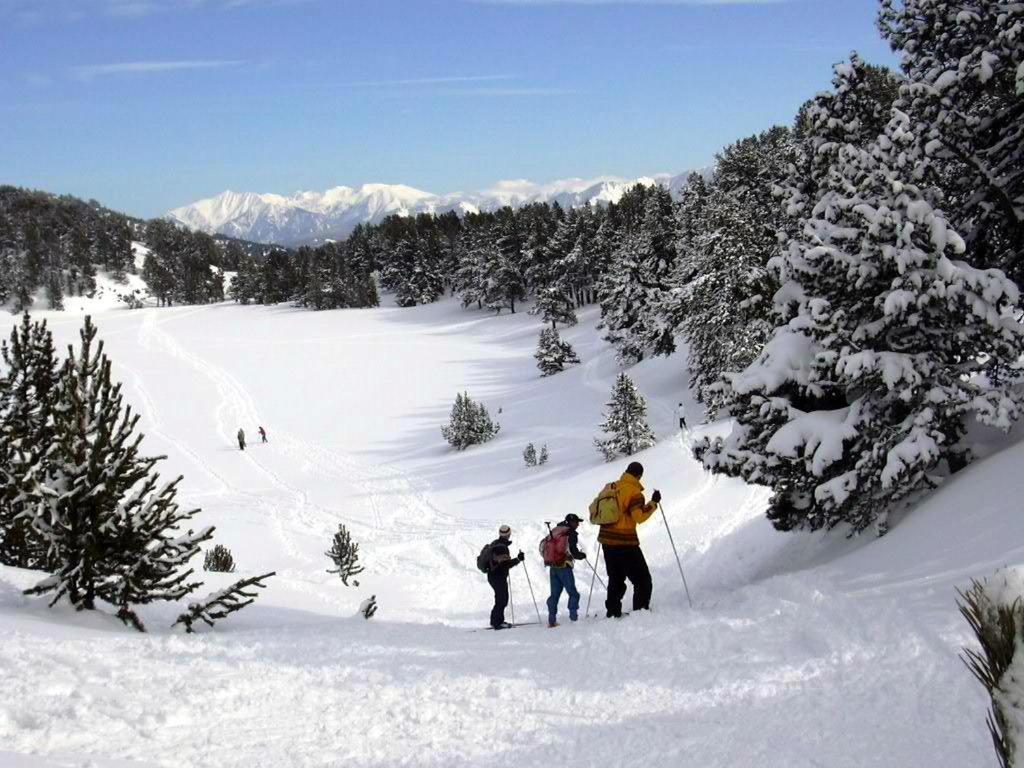 Le Chalet Du Ticou Bolquere ภายนอก รูปภาพ