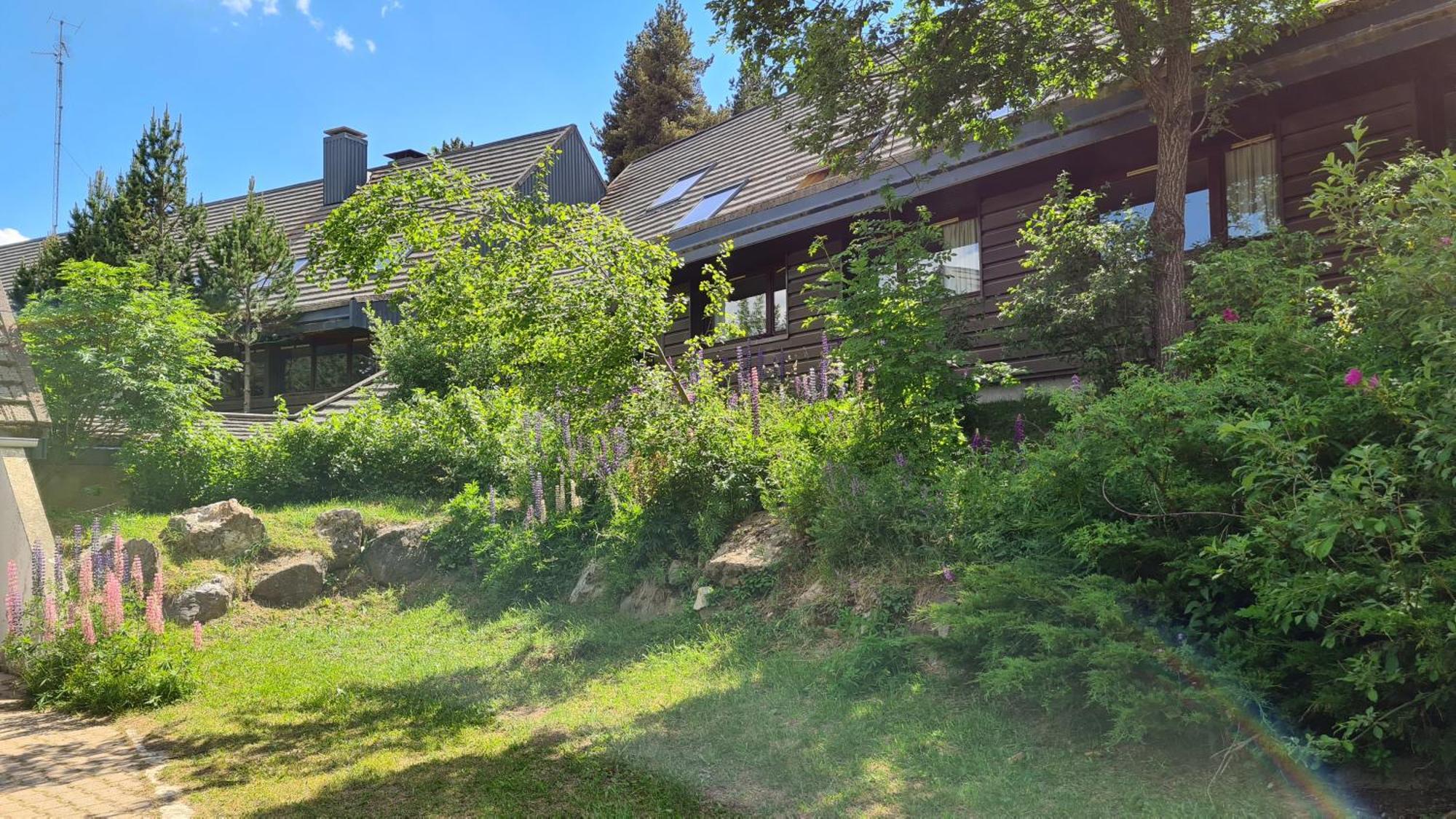 Le Chalet Du Ticou Bolquere ภายนอก รูปภาพ